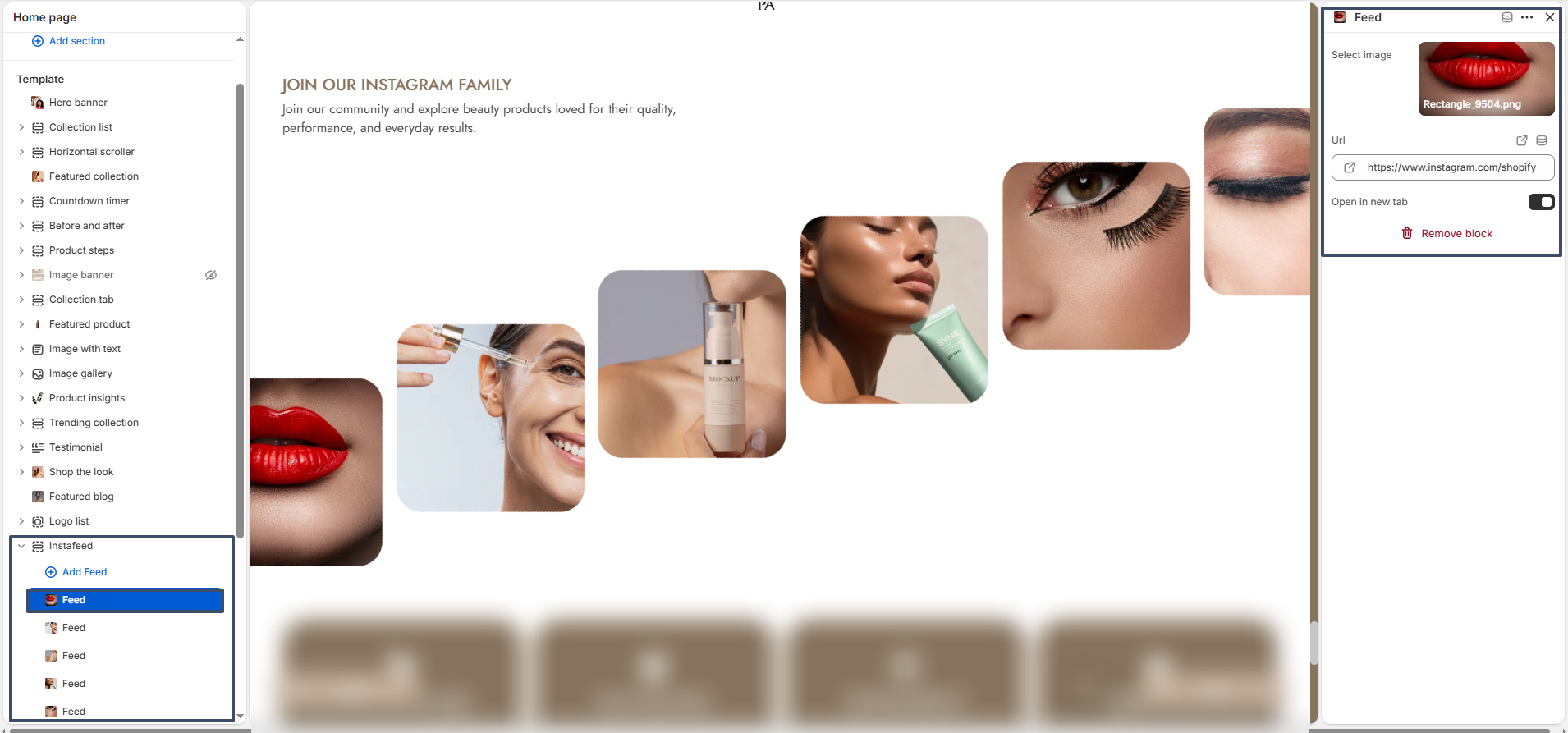 instafeed block settings